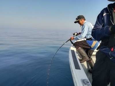 IDATEN（イダテン） 釣果