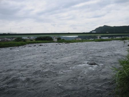 狩野川（狩野川漁業協同組合） 釣果