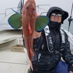 遊漁船 ニライカナイ 釣果