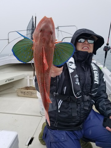 遊漁船 ニライカナイ 釣果