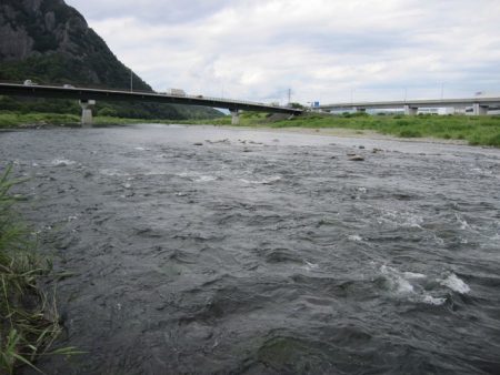 狩野川(狩野川漁業協同組合) 釣果