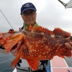 しまや丸 釣果