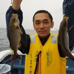 しまや丸 釣果