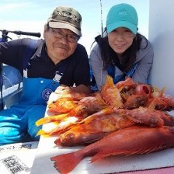 しまや丸 釣果