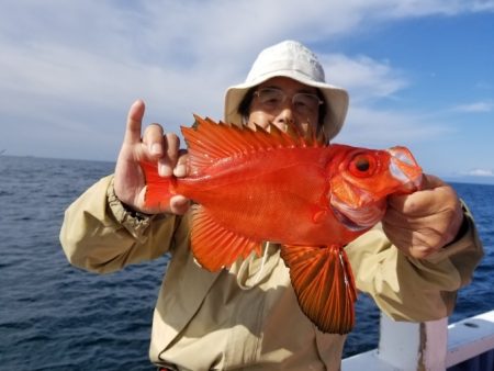 しまや丸 釣果