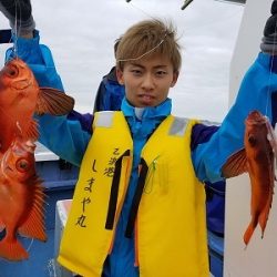 しまや丸 釣果