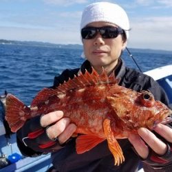 しまや丸 釣果