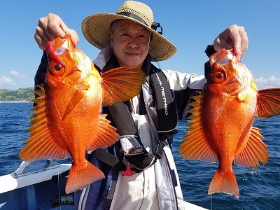 しまや丸 釣果