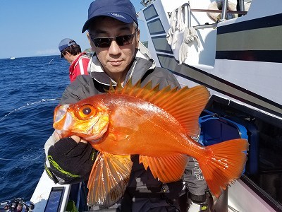 しまや丸 釣果