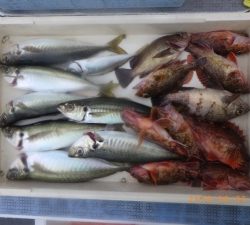 石川丸 釣果