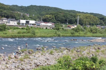 狩野川(狩野川漁業協同組合) 釣果