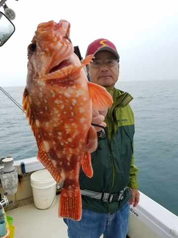 遊漁船　ニライカナイ 釣果