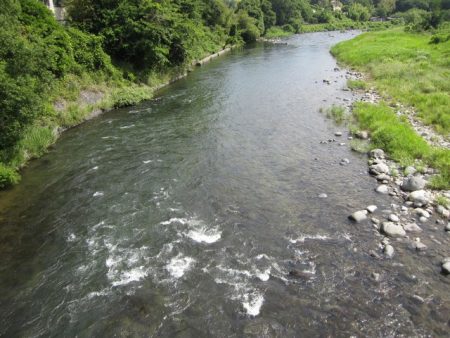 狩野川(狩野川漁業協同組合) 釣果