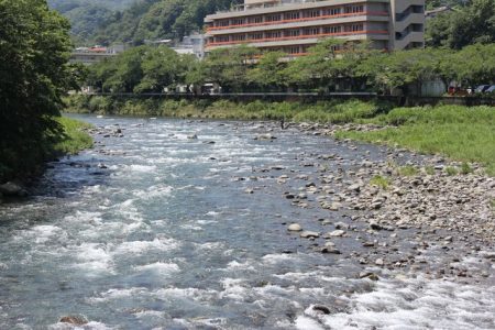 狩野川(狩野川漁業協同組合) 釣果