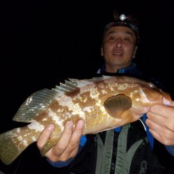 Magic(マジック) 釣果