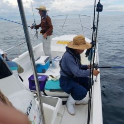 Magic(マジック) 釣果