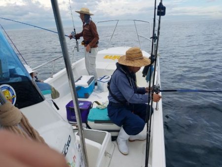 Magic(マジック) 釣果