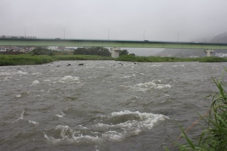 狩野川（狩野川漁業協同組合） 釣果