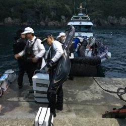 鵜来島家本渡船 釣果