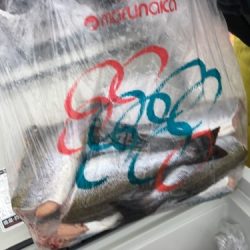 鵜来島家本渡船 釣果