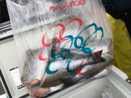 鵜来島家本渡船 釣果