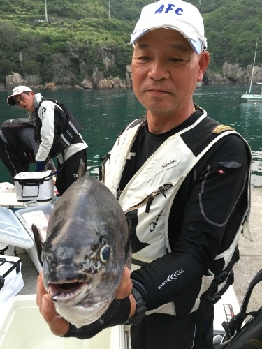 鵜来島家本渡船 釣果