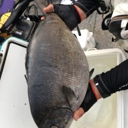 鵜来島家本渡船 釣果