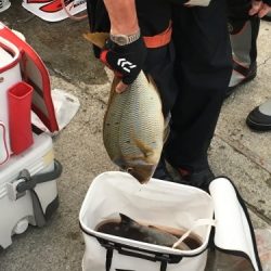 鵜来島家本渡船 釣果