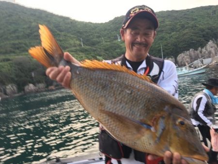鵜来島家本渡船 釣果