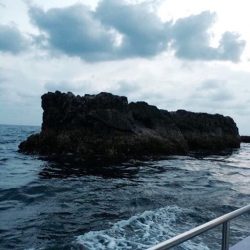 鵜来島家本渡船 釣果