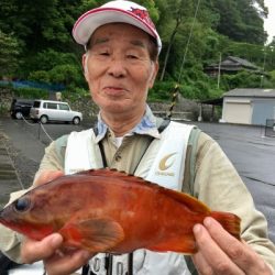 鵜来島家本渡船 釣果