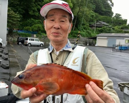 鵜来島家本渡船 釣果