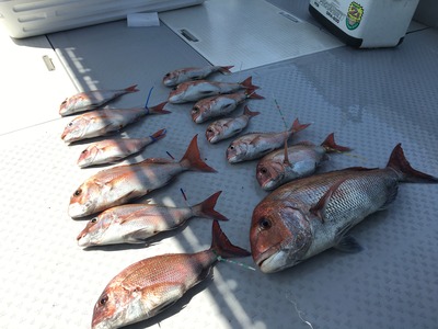 ミタチ丸 釣果