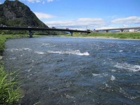 狩野川(狩野川漁業協同組合) 釣果