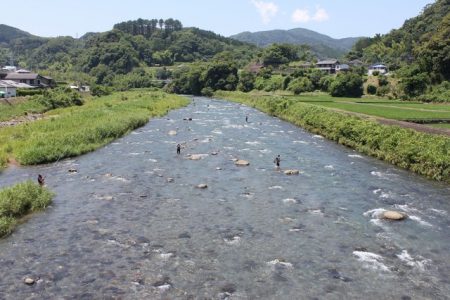狩野川(狩野川漁業協同組合) 釣果