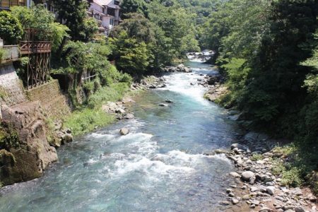 狩野川(狩野川漁業協同組合) 釣果