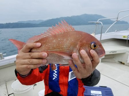 遊漁船　ニライカナイ 釣果
