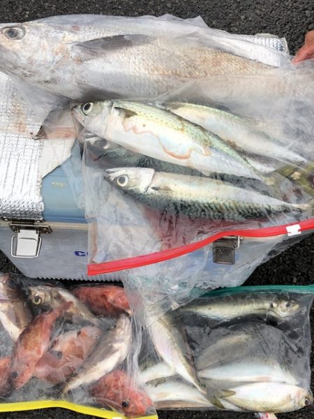 第二辰丸 釣果
