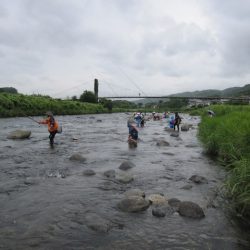 狩野川(狩野川漁業協同組合) 釣果