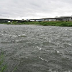 狩野川(狩野川漁業協同組合) 釣果