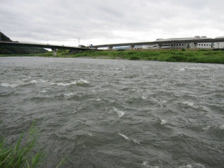 狩野川(狩野川漁業協同組合) 釣果