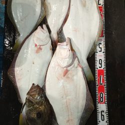 魁皇 釣果