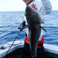 第三むつりょう丸 釣果