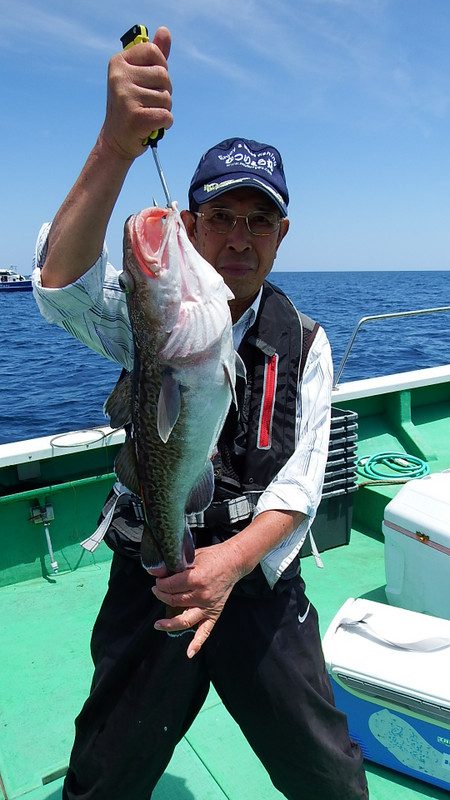 第三むつりょう丸 釣果