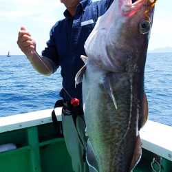 第三むつりょう丸 釣果