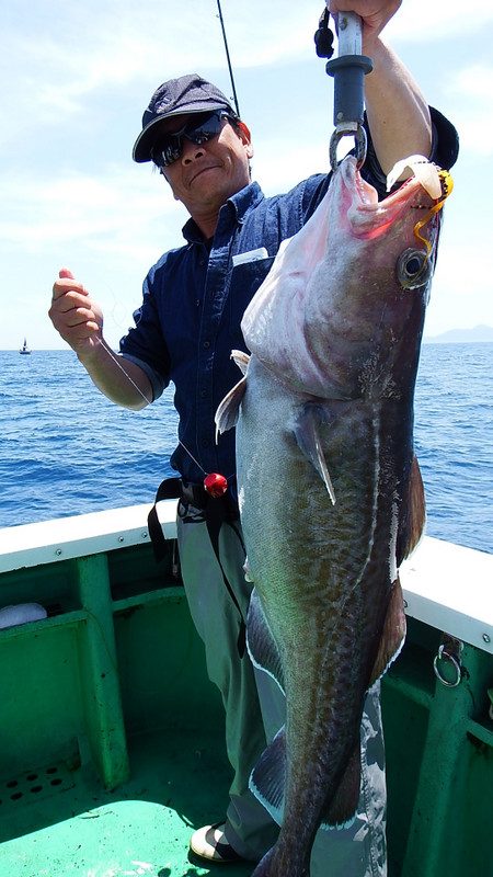 第三むつりょう丸 釣果