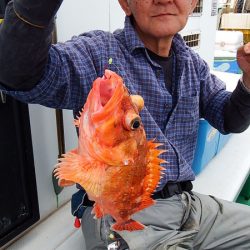 第三むつりょう丸 釣果