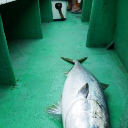 第三むつりょう丸 釣果