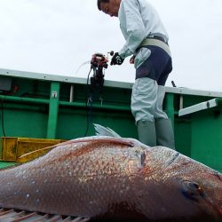 第三むつりょう丸 釣果