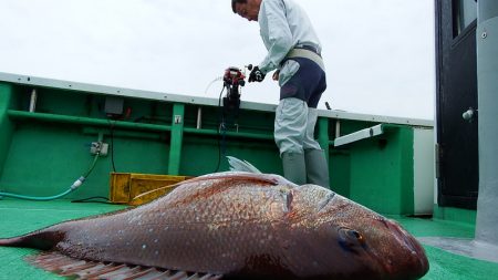 第三むつりょう丸 釣果